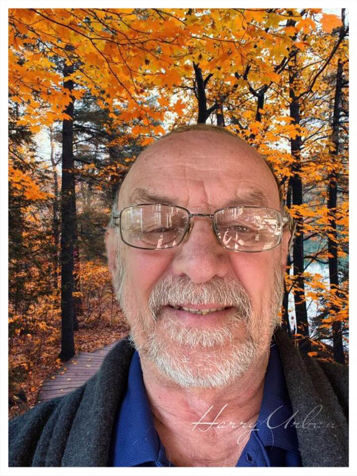 harry ottobre 2020 foglie